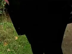 Recopilación de un v ...