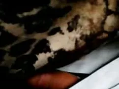 Recopilación de anal ...
